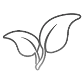 Productos Ecológicos